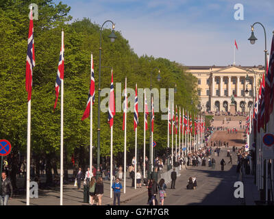 Karl Johan Straße in der norwegischen Hauptstadt Oslo, die Parade Fahnen führt bis in das königliche Schloß, Feierlichkeiten zum Tag der Verfassung Stockfoto