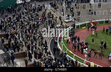 Platziert Pferde im Siegergehege nach der Shloer Conditional Jockeys' Handicap Chase am ersten Tag der Internationalen auf der Cheltenham Racecourse, Cheltenham. Stockfoto