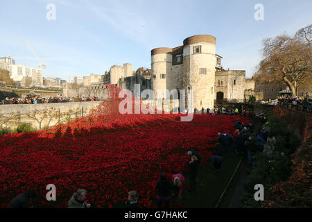 Freiwillige entfernen die Keramikmohn aus der Blood Swept Lands und Seas of Red Installation im Tower of London. Stockfoto