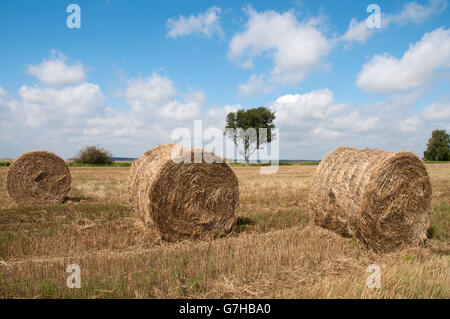 Strohballen auf einem abgeernteten Feld, Insel Usedom, Ostsee, Mecklenburg-Vorpommern, PublicGround Stockfoto