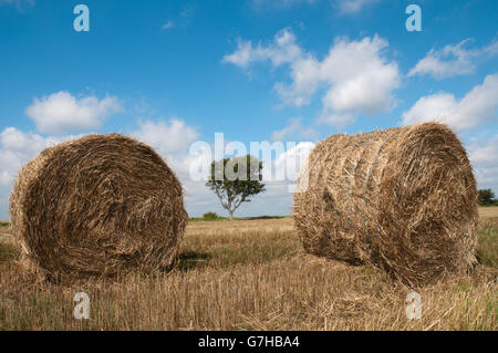 Strohballen auf einem abgeernteten Feld, Insel Usedom, Ostsee, Mecklenburg-Vorpommern, PublicGround Stockfoto