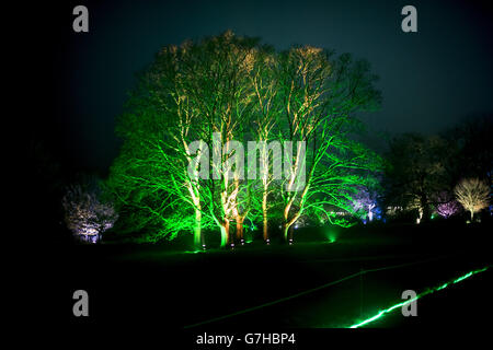 Ein Blick auf den verzauberten weihnachtlichen beleuchteten Weg am Westonburt Arboretum in Gloucestershire, der offiziell am Freitag, 28. November eröffnet wird. Stockfoto