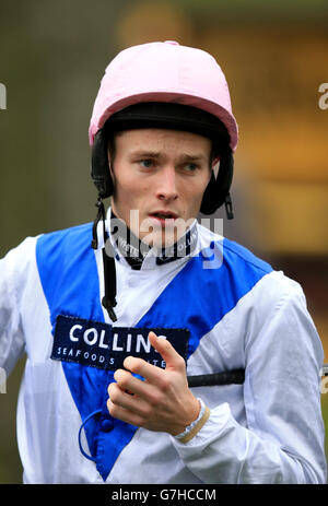 Pferderennen - Haydock Rennbahn Stockfoto