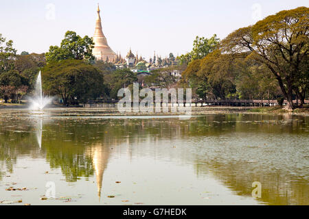 In Yangon, die zentrale Stupa der Shwedagon Paya, die auf dem ruhigen und glasklaren Wasser des Sees Kandawgyi (Myanmar). Stockfoto
