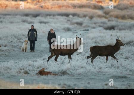 Winterwetter 6. Dezember 2014 Stockfoto