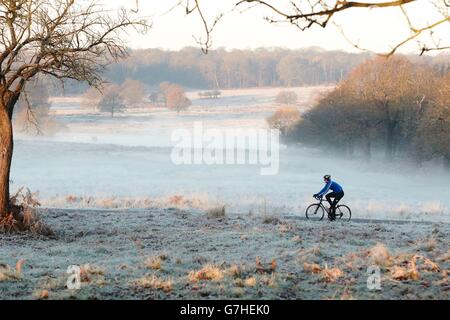 Ein Radfahrer macht sich auf den Weg durch den Richmond Park im Südwesten Londons, da ein Großteil des Vereinigten Königreichs nach einem frostigen Morgen aufwachte. Stockfoto