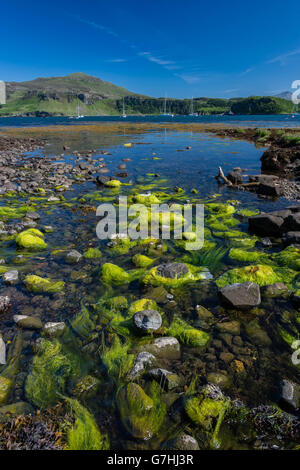 Ben Tianavaig, Portree, Isle Of Skye, Schottland, Vereinigtes Königreich Stockfoto