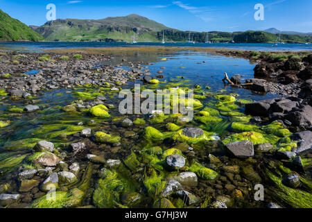 Ben Tianavaig, Portree, Isle Of Skye, Schottland, Vereinigtes Königreich Stockfoto