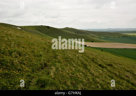 Pewsey Downs National Nature Reserve. Britische Grünland auf die Marlborough Downs mit Blick auf das Vale of Pewsey in Wiltshire Stockfoto