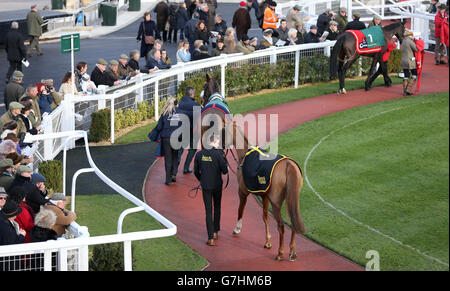 Pferderennen - The International - Tag 1 - Cheltenham Racecourse. Pferde in der Parade Ring auf Cheltenham Rennbahn Stockfoto