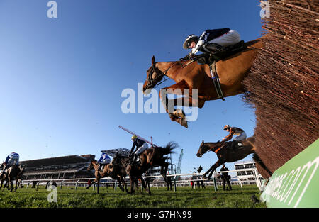 Läufer und Reiter springen beim Caspian Caviar Gold Cup am zweiten Tag des International auf der Cheltenham Racecourse, Cheltenham, einen Zaun. Stockfoto