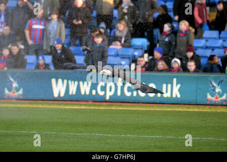 Fußball - Barclays Premier League - Crystal Palace gegen Stoke City - Selhurst Park Stockfoto