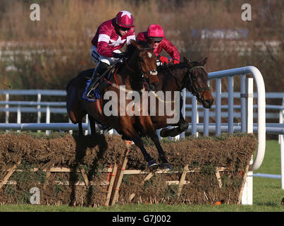 Identitätsdieb von Bryan Cooper gewinnt bei der Races Maiden Hurdle am dritten Tag des Leopardstown Christmas Festivals 2014 auf der Leopardstown Racecourse, Dublin. Stockfoto