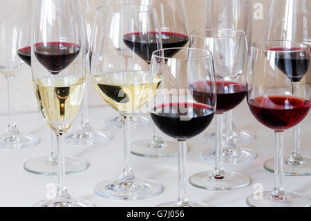 Viele verschiedene Gläser Wein auf dem Tisch Stockfoto