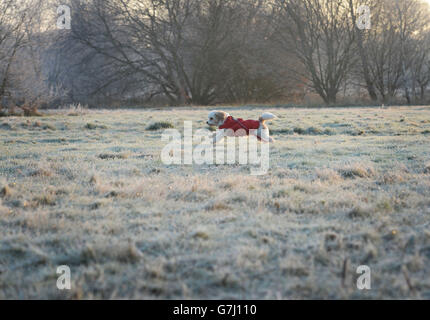 Winterwetter 31. Dezember 2014 Stockfoto