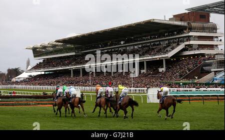 Pferderennen - Cheltenham Rennbahn. Die Läufer der BetBright Novices' Chase kommen an den Tribünen der Cheltenham Racecourse, Cheltenham, vorbei. Stockfoto