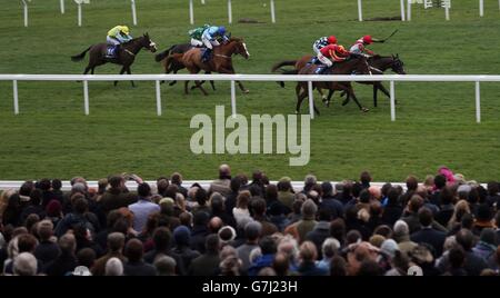 Pferderennen Sie-Cheltenham Racecourse Stockfoto