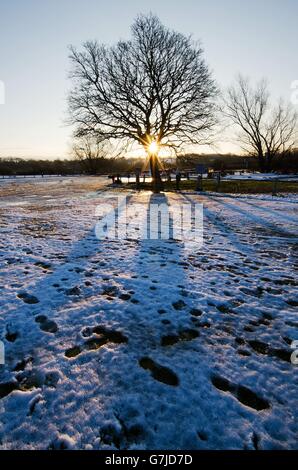 Winterwetter 27. Dezember 2014 Stockfoto