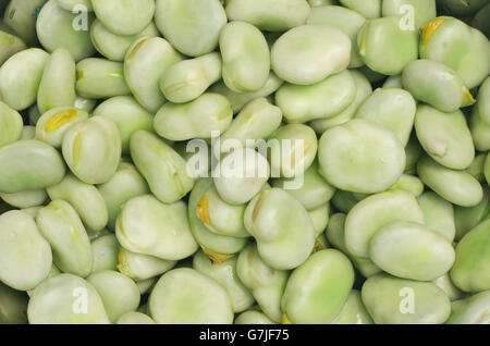 Closeup, frische grüne Bohnen Stockfoto