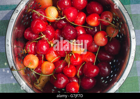 closeup to wet sweet cherries Stockfoto