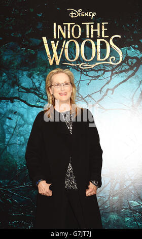 Into the Woods Fotocall - London. Meryl Streep bei einer Fotozelle im Corinthia Hotel in London, für Disneys neuen Film Into the Woods. Stockfoto