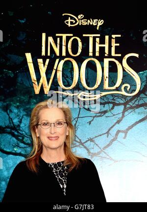 Meryl Streep bei einem Fotocall im Corinthia Hotel in London, für Disneys neuen Film Into the Woods. Stockfoto