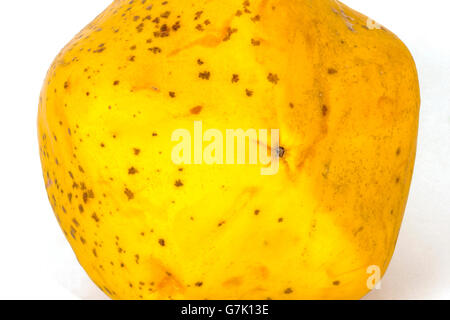 Studioaufnahme Nahaufnahme von selbst angebautem gelb gesprenkelten Paw Paw Textur Stockfoto