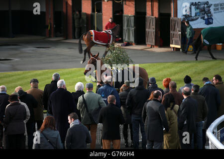 Pferderennen Sie - Betfred Klassiker Chase Tag - Warwick Rennbahn Stockfoto