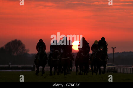 Pferderennen - Warwick Racecourse. Läufer kommen beim TurfTV Intermediate Open National Hunt Flatrennen auf der Warwick Racecourse auf ihre Reise. Stockfoto