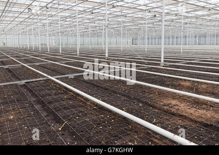 Leere Gewächshaus mit Boden vorbereitet für den Anbau von Neuanlagen Stockfoto