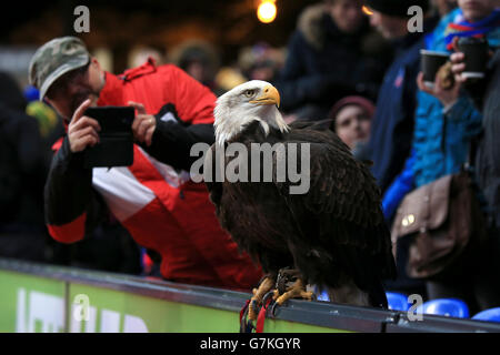 Fußball - Barclays Premier League - Crystal Palace gegen Everton - Selhurst Park. Das Maskottchen des Crystal Palace, Kayla, ein nordamerikanischer Weißkopfadler. Stockfoto