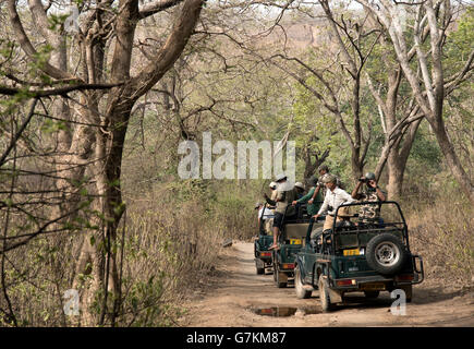 Das Bild der Tourist in Safari gemacht wurde in Ranthambore, Indien Stockfoto