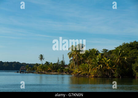 Tropische Insel-Panorama mit schiefen Kokospalme und Häusern versteckt von üppiger Vegetation, Bocas del Toro Stockfoto