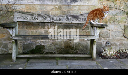 Winston Churchills Todestag. S Chartwell Familie zu Hause. Stockfoto