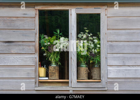 Geschnitten Sie Astrantia Blumen und Laub in Gläsern in einem Potting Shed Fenster. UK Stockfoto