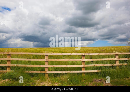 Stürmischer Himmel über ein Feld des Reifens Gerste über einem hölzernen Pfosten und Zaun angesehen. Stockfoto