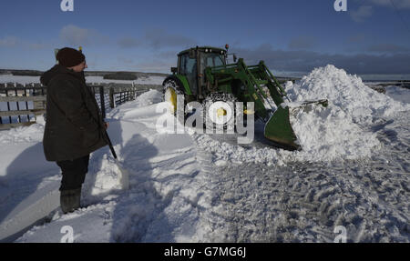 Winterwetter 29. Januar 2015 Stockfoto