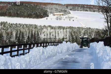 Winterwetter 29. Januar 2015 Stockfoto