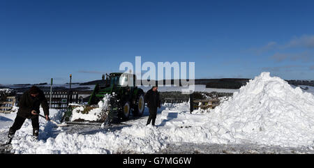 Die Bauern machen den Weg zur Stockley Fell Farm in Oakenshaw, County Durham, frei, da Schulen, Transport und Handy-Signale gestört wurden, nachdem starker Schnee Teile des Landes getroffen hatte. Stockfoto