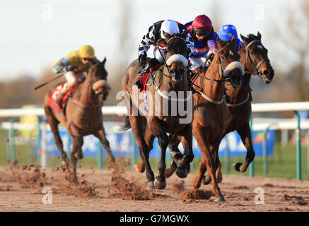 Pferderennen - Southwell Racecourse Stockfoto