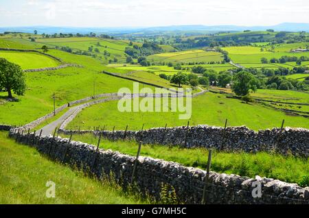 Blick vom in der Nähe von Kalkstein Pflaster über Malham Cove, Yorkshire Dales National Park, in der Nähe von Settle, West Yorkshire Stockfoto