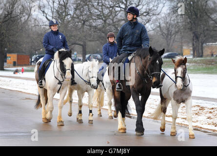 Im Hyde Park, London, werden Pferde im Schnee trainiert, während Teile von Großbritannien zu einer Schneedecke aufwachten und die Temperaturen stellenweise bis zu einem Wirbelsäulenfrost von -11C (12.2F) erreichten. Stockfoto