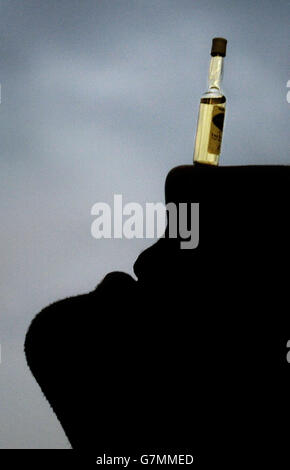 Minaturflaschen im Whisky-Fachgeschäft Cadenheads an der Royal Mile. Mann balanciert eine Flasche. Stockfoto