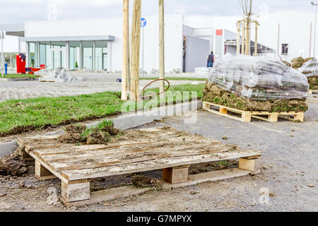 Stapel von Rasen Rasen rollt für einen Rasen, auf Holzpalette gestapelt. Stockfoto