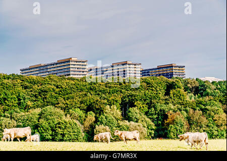 Zeigen Sie an der Universität in Bochum, Ruhrgebiet, Deutschland an; Blick Auf Die Ruhr-Universität Bochum, Vom Süden ihr Stockfoto