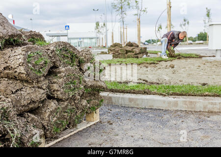 Stapel, rollt auf Holzpalette für die Installation von neuen Rasen, entrollen Rasen Heap von Sod. Stockfoto