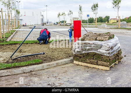 Stapel, rollt auf Holzpalette für die Installation von neuen Rasen, entrollen Rasen Heap von Sod. Stockfoto