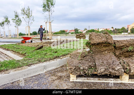 Stapel, rollt auf Holzpalette für die Installation von neuen Rasen, entrollen Rasen Heap von Sod. Stockfoto