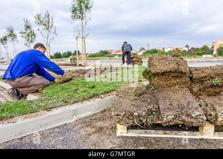 Stapel, rollt auf Holzpalette für die Installation von neuen Rasen, entrollen Rasen Heap von Sod. Stockfoto