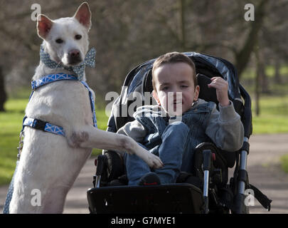 Kyle Leask, 6, aus Inverness in Schottland, der mit seinem geretteten Crossbreed Miracle zerebrale Lähmung und Autismus hat, während ihrer Crufts 2015 Shortlist-Ankündigung für den Eukanaba Friends for Life Wettbewerb, der erhebende Geschichten von Freundschaft in Not feiert. Stockfoto